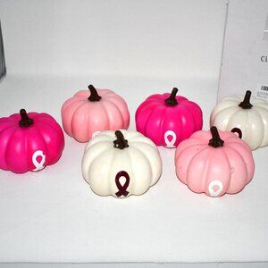 Cinnvoice 6 Pcs Artificial Pink Pumpkins – Breast Cancer Awareness Fall Hallowee